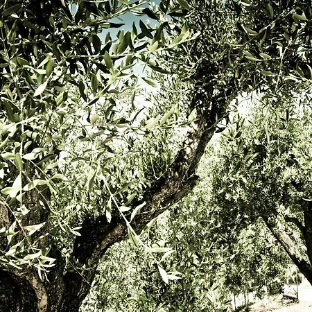 Il Pozzo Incantato Ascoli Piceno