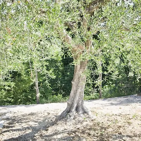 Lägenhet Il Pozzo Incantato *