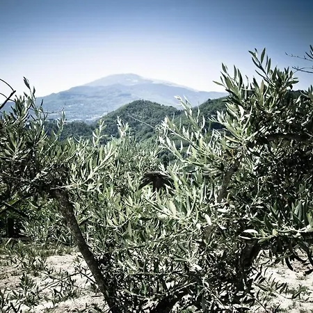 Lägenhet Il Pozzo Incantato *