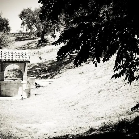 Lägenhet Il Pozzo Incantato Ascoli Piceno