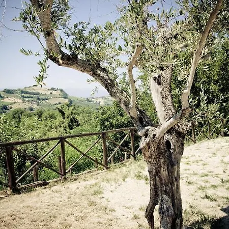 Il Pozzo Incantato Lägenhet Ascoli Piceno